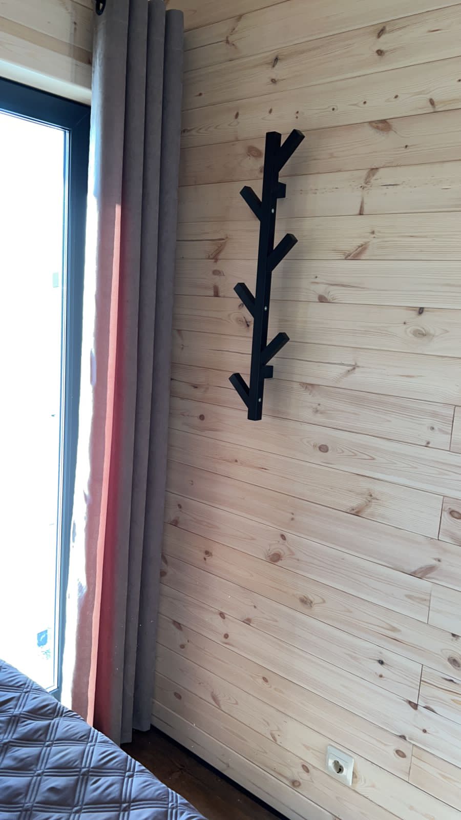 Фото Сканди