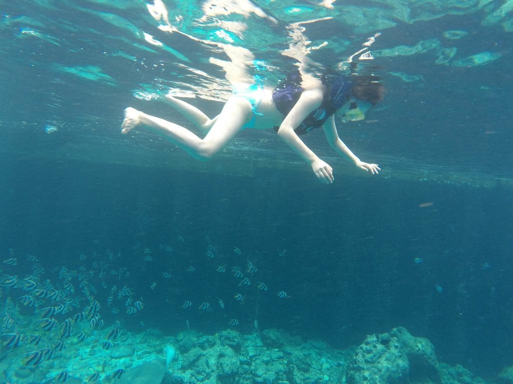 Фото Noomoo Maldives Hulhumale