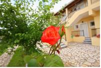 Фото Zefiros Apartments