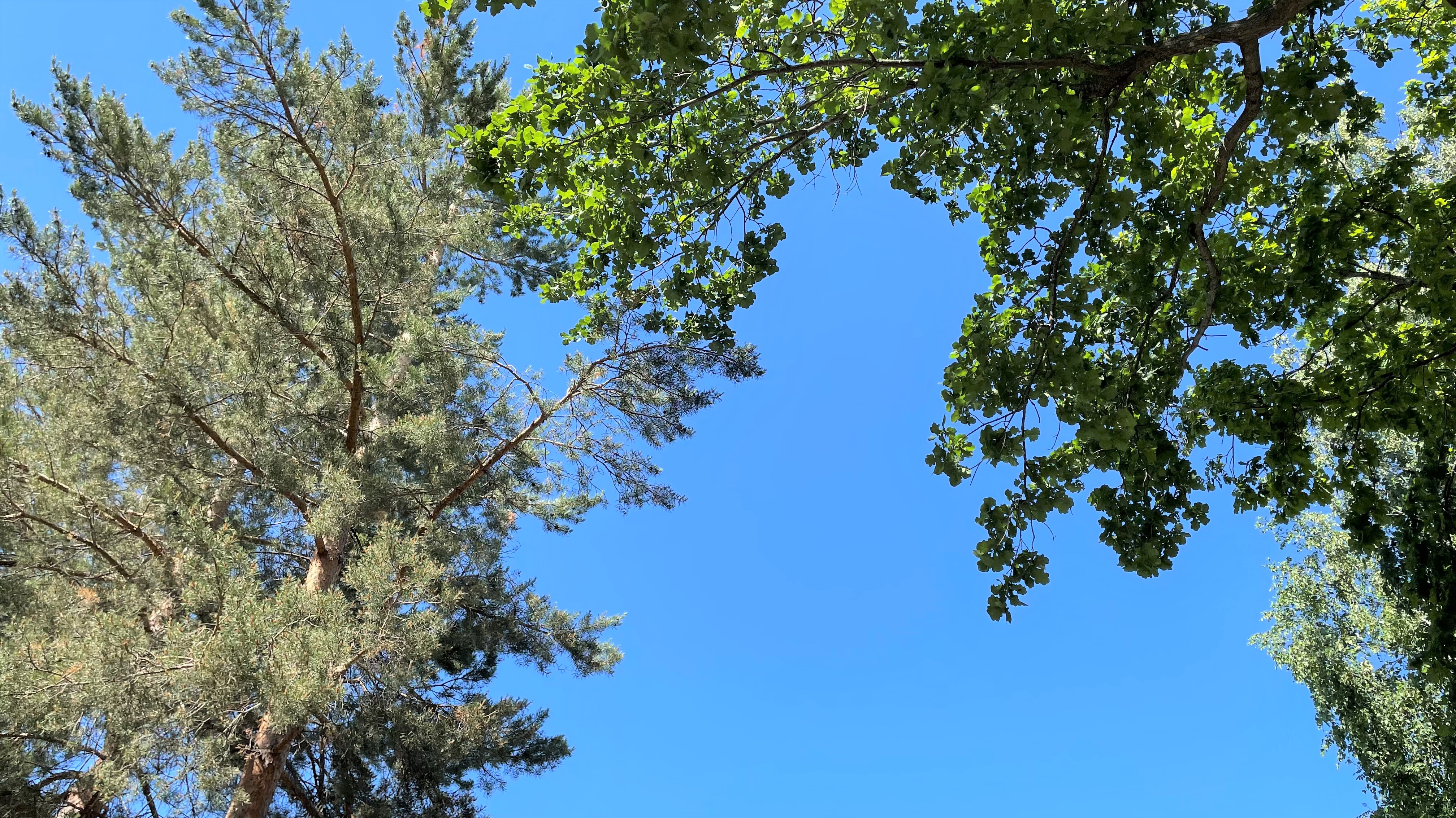 Фото Джалильский