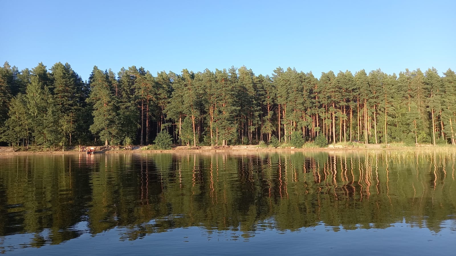 Фото Ладога Хоум