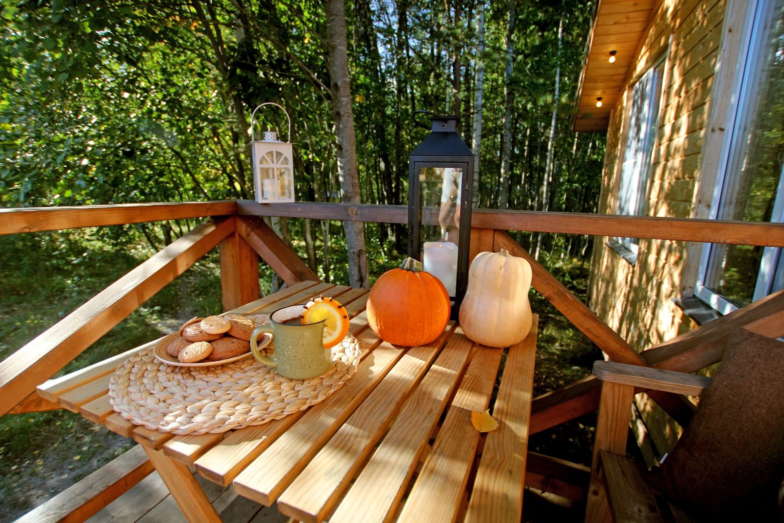 Фото Ладога Хоум