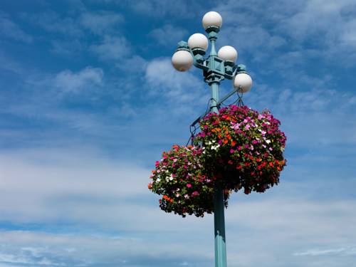 Фото Royal Scot Hotel & Suites