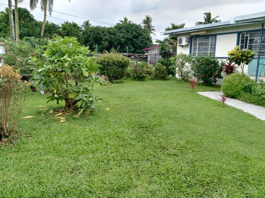 Фото Dreams Homestay