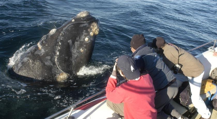 Фото The Paradise