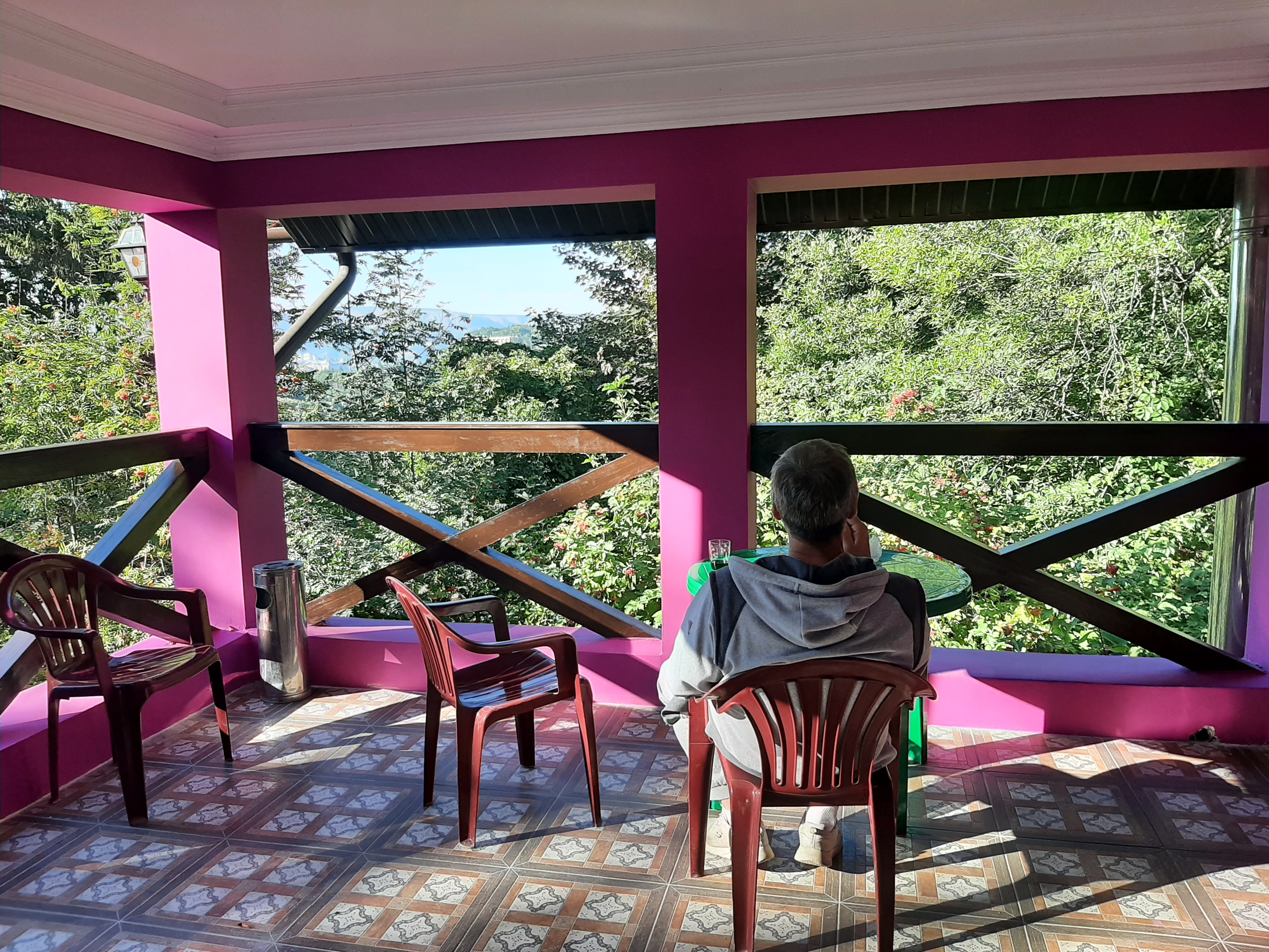 Фото Золотой Гусь