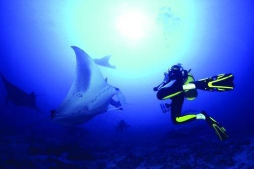 Фото Hotel Regina