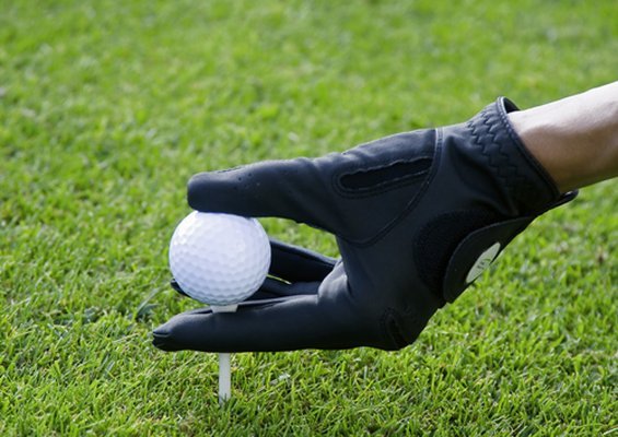 Фото Rheinhotel Dreesen