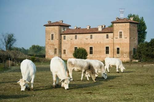 Гостиница Antica Corte Pallavicina Relais