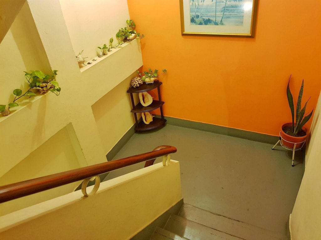 Фото Lavender Lodge