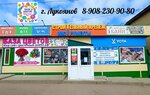 Цветочный рай (ulitsa Posyolok Stantsionny, 27А), flower shop