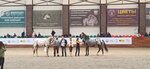 Гранд манеж (1, д. Горки Сухаревские), конный клуб в Москве и Московской области