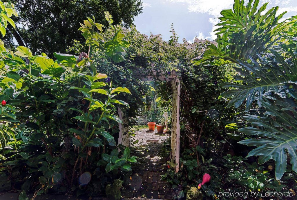 Фото Manoa Valley Inn