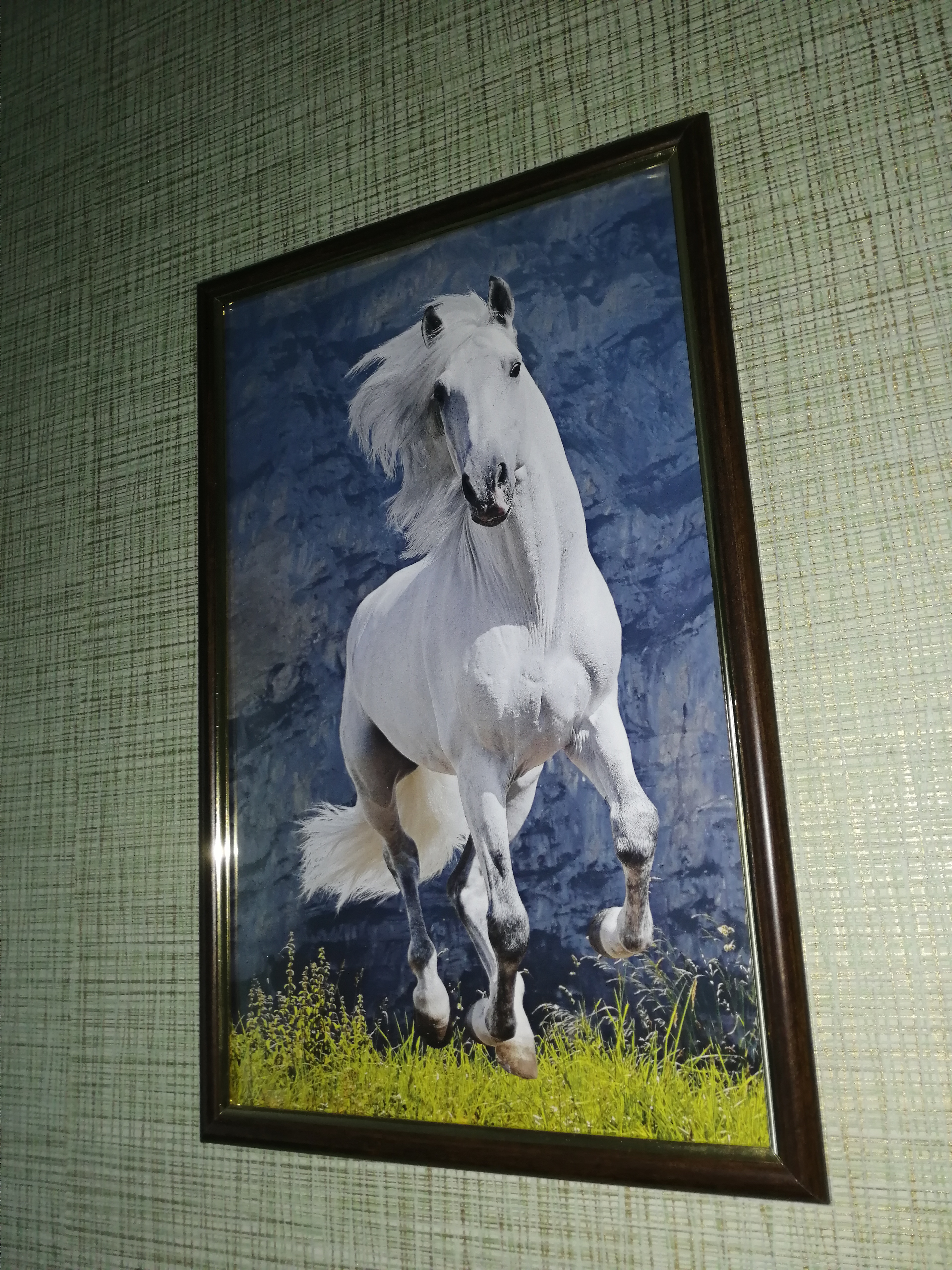 Фото Селена