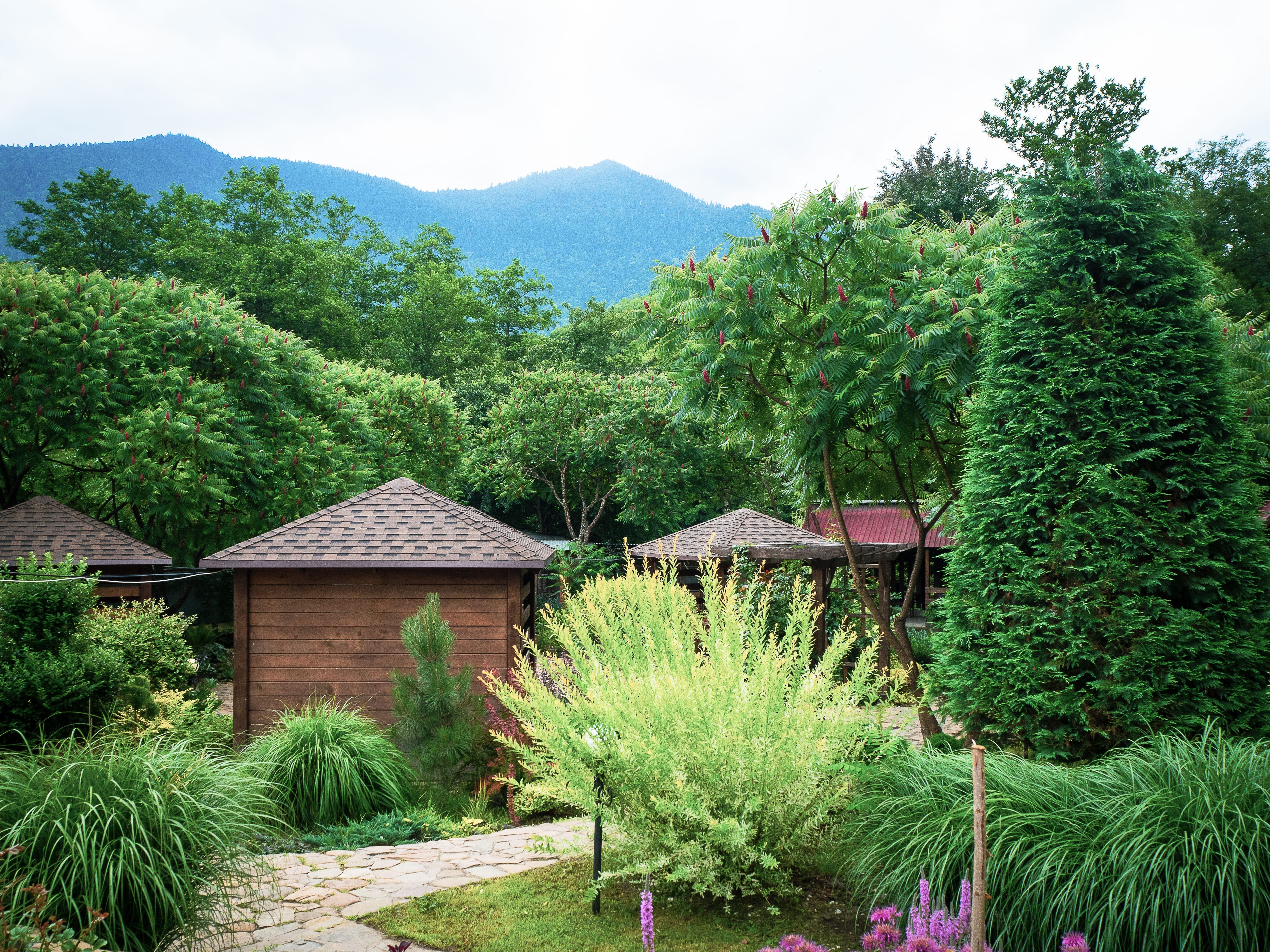 Фото Volkov Family