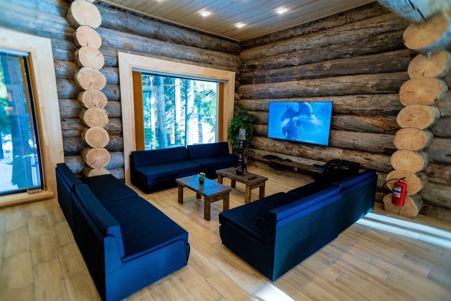 Фото Парк Лесок