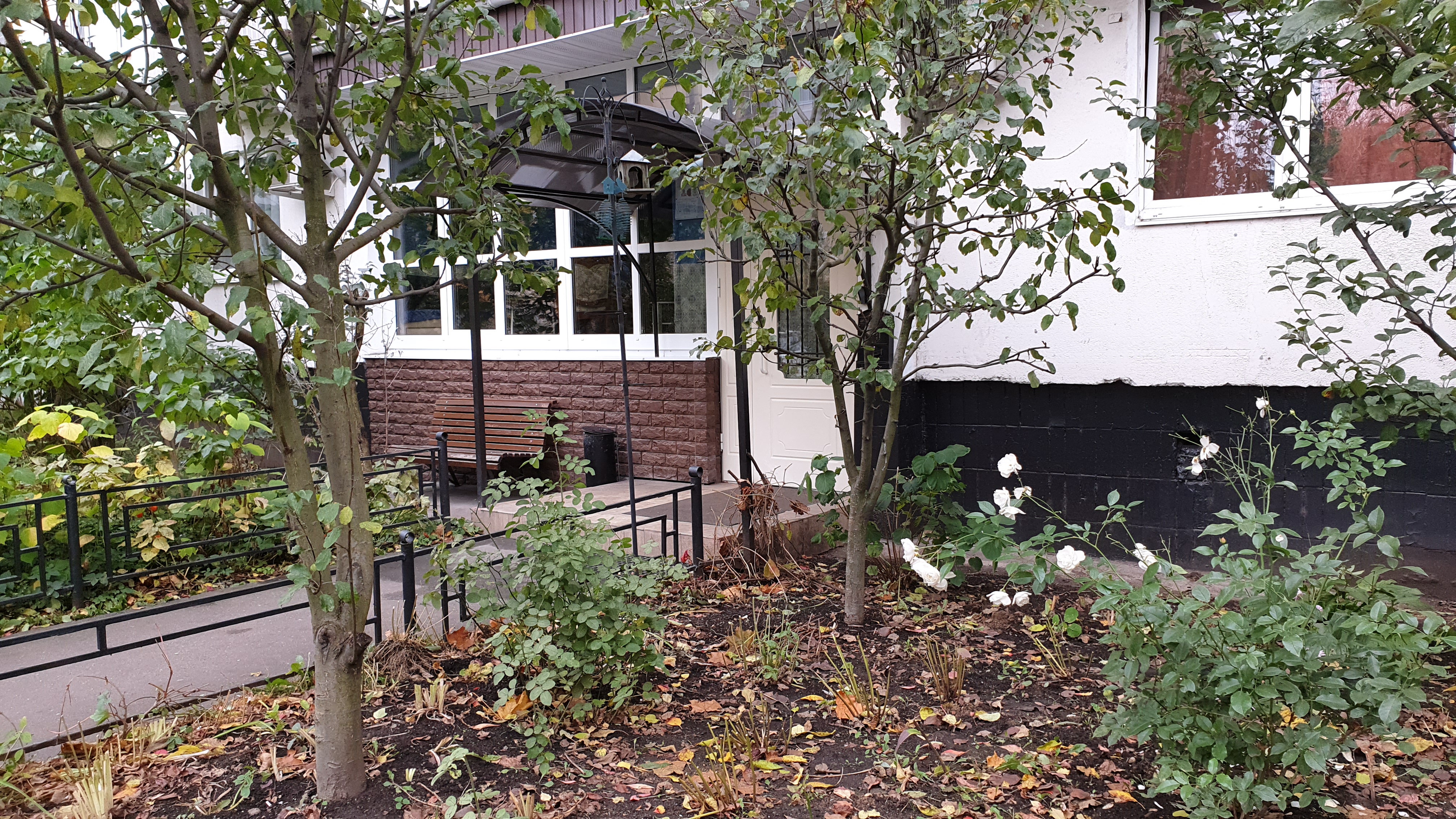 Фото Петровский