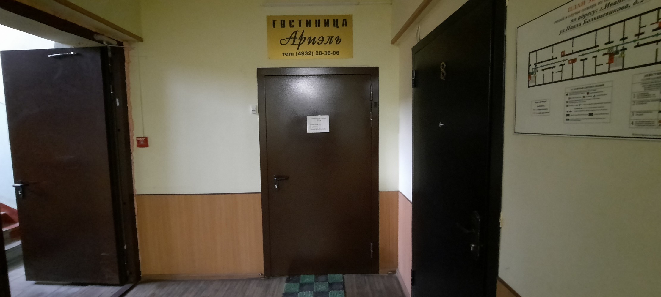 Фото Ариэль