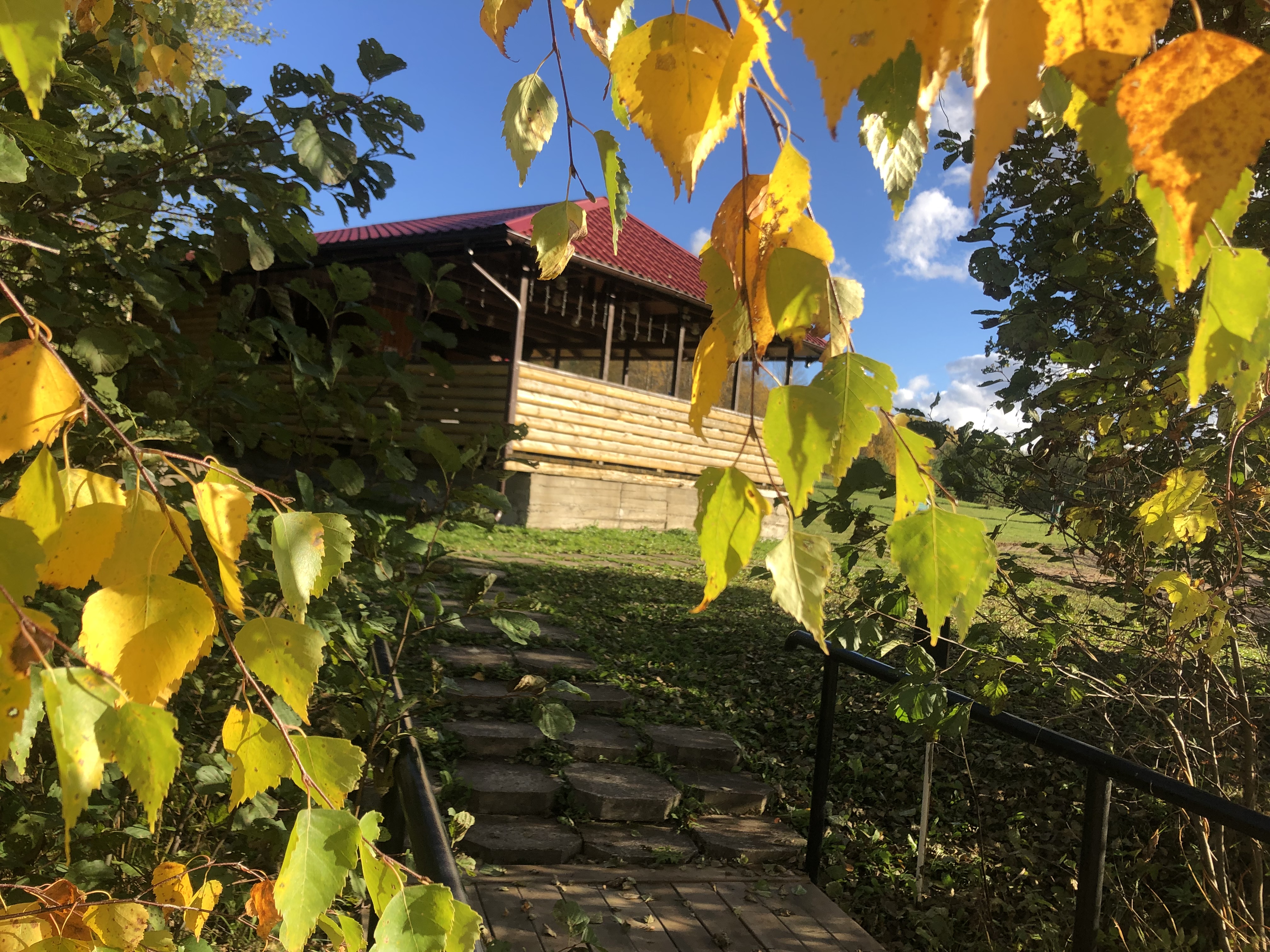 Фото Лесная гавань