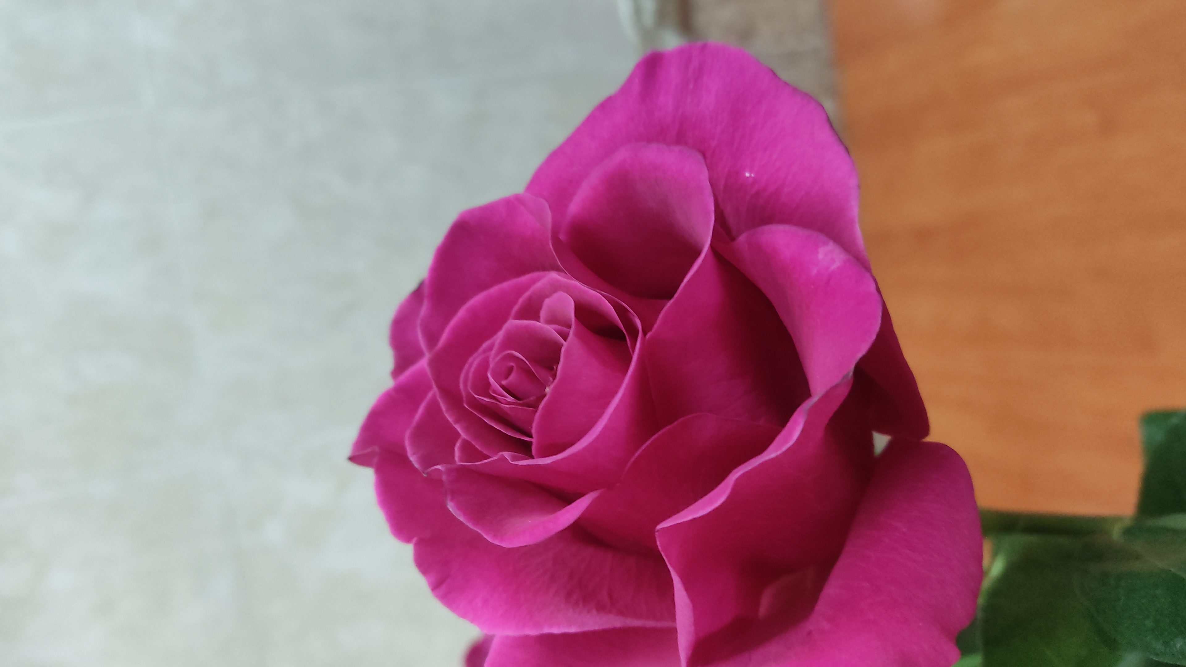 Фото Теремок