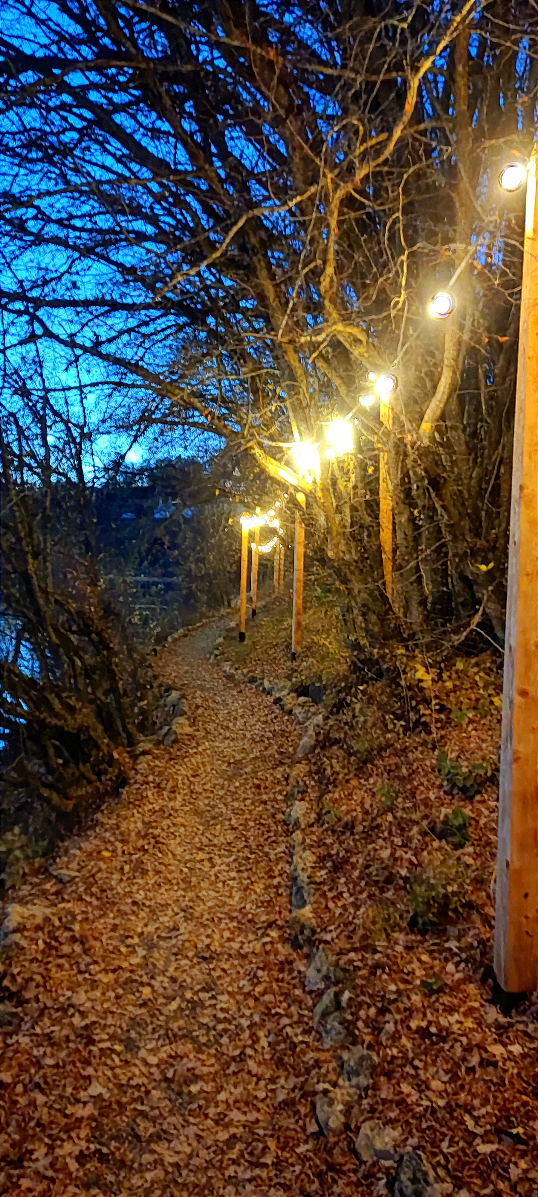 Фото Солнечное озеро