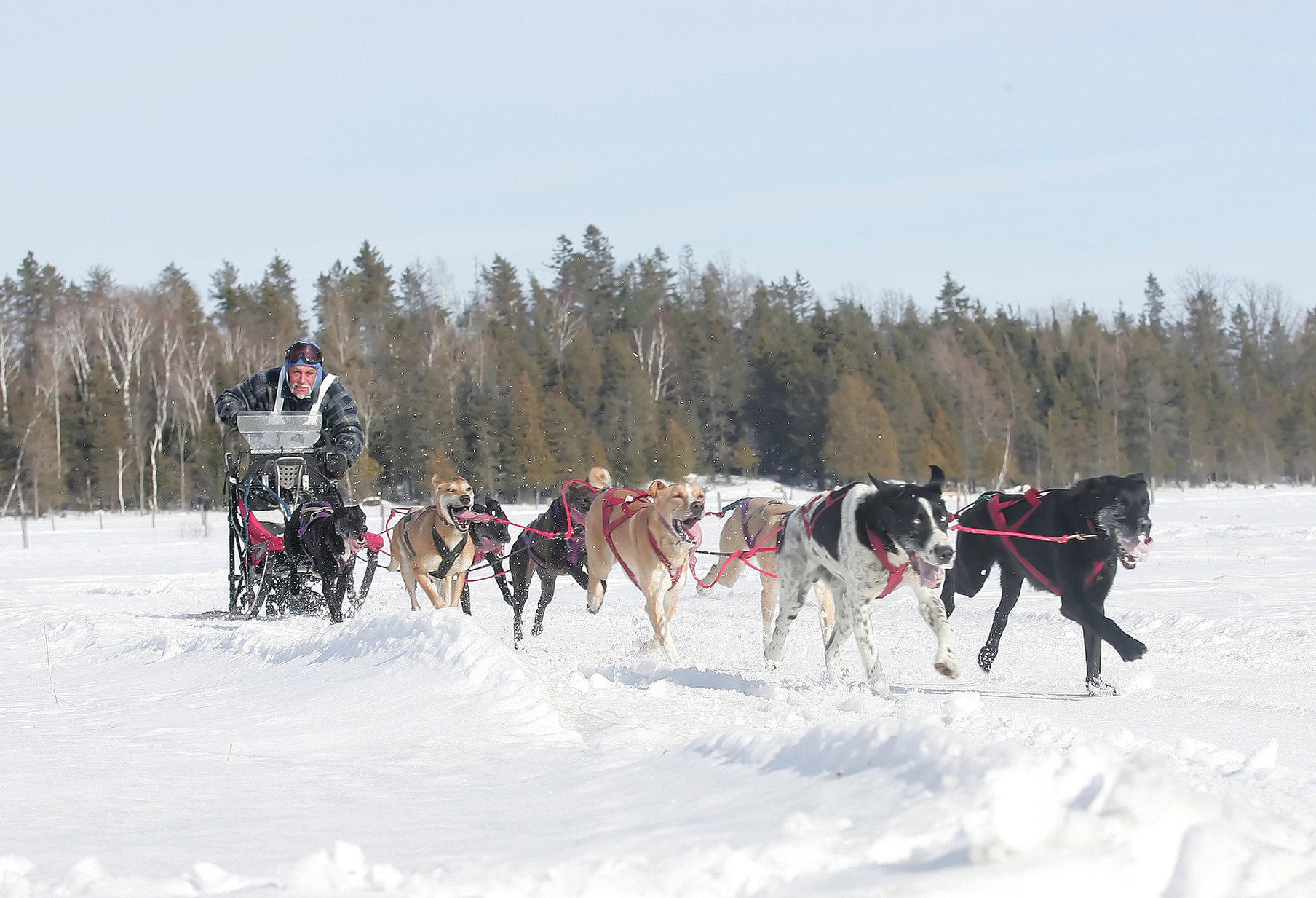 Фото Holiday Inn Express Hotel & Suites Timmins