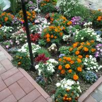 Фото Вилла Тобиас