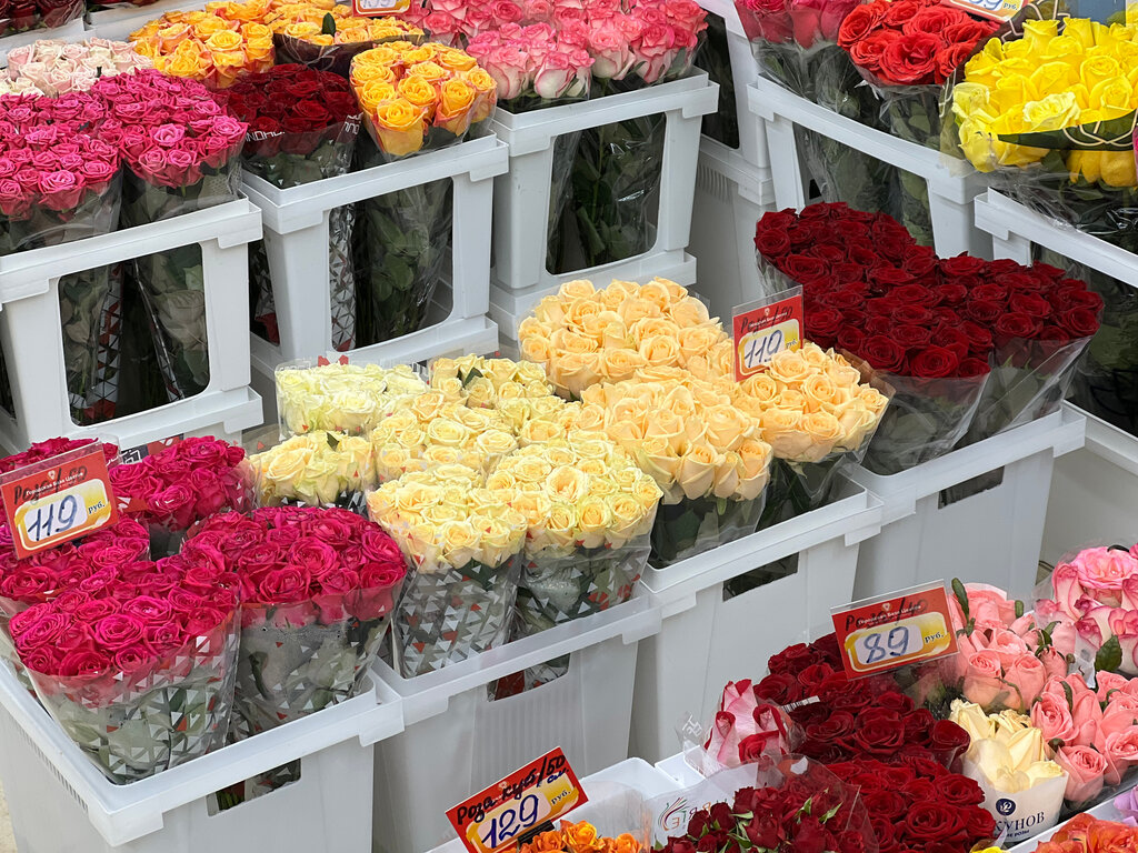Доставка цветов сергиев посад база цветов доставка цветов самара цены