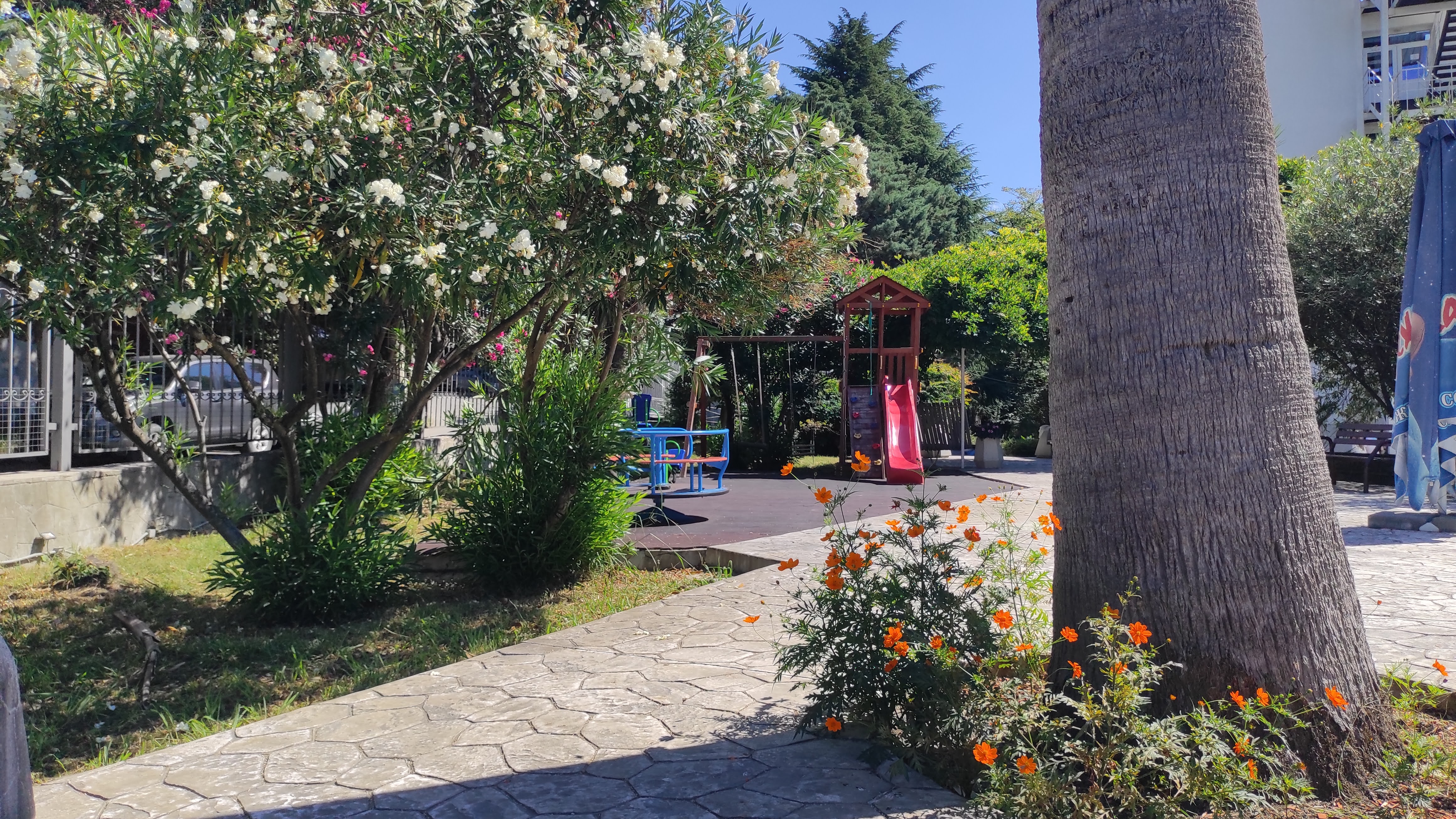 Фото Ларимар