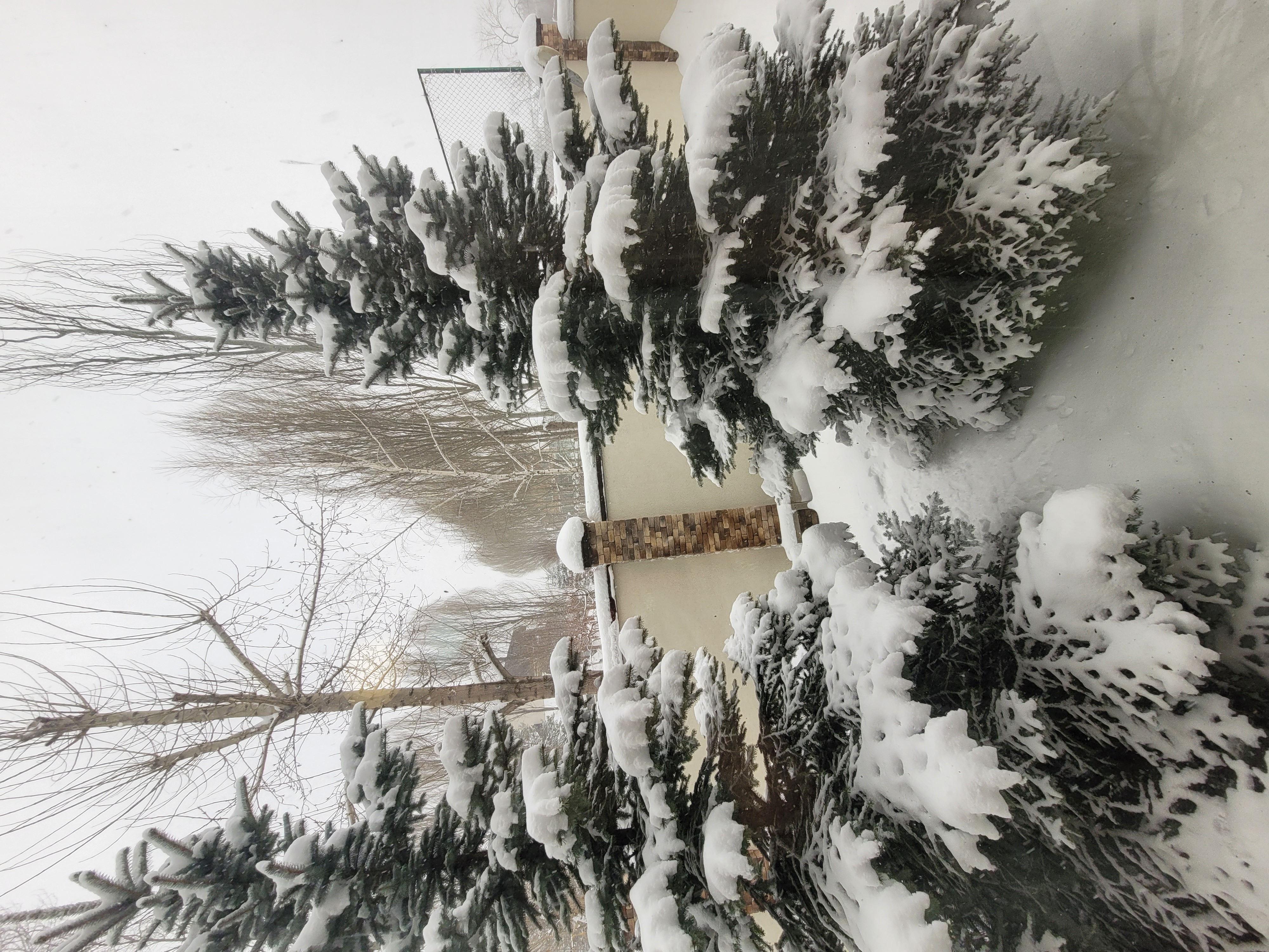 Фото Villa classic