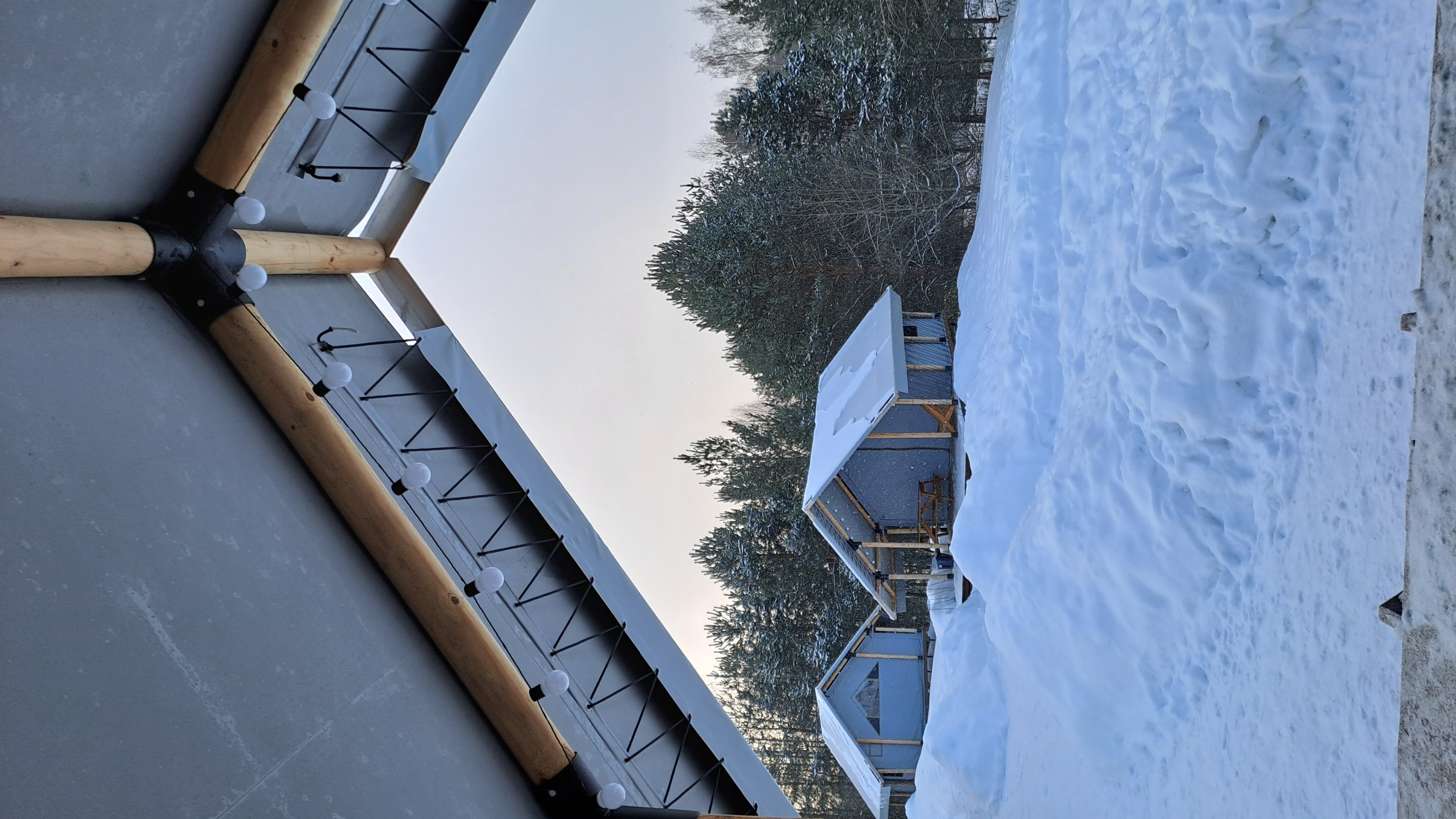 Фото Йети на комете