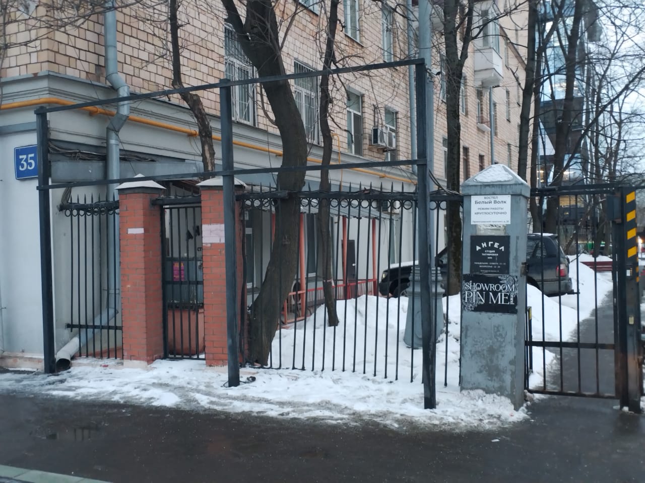 Фото Белый Волк