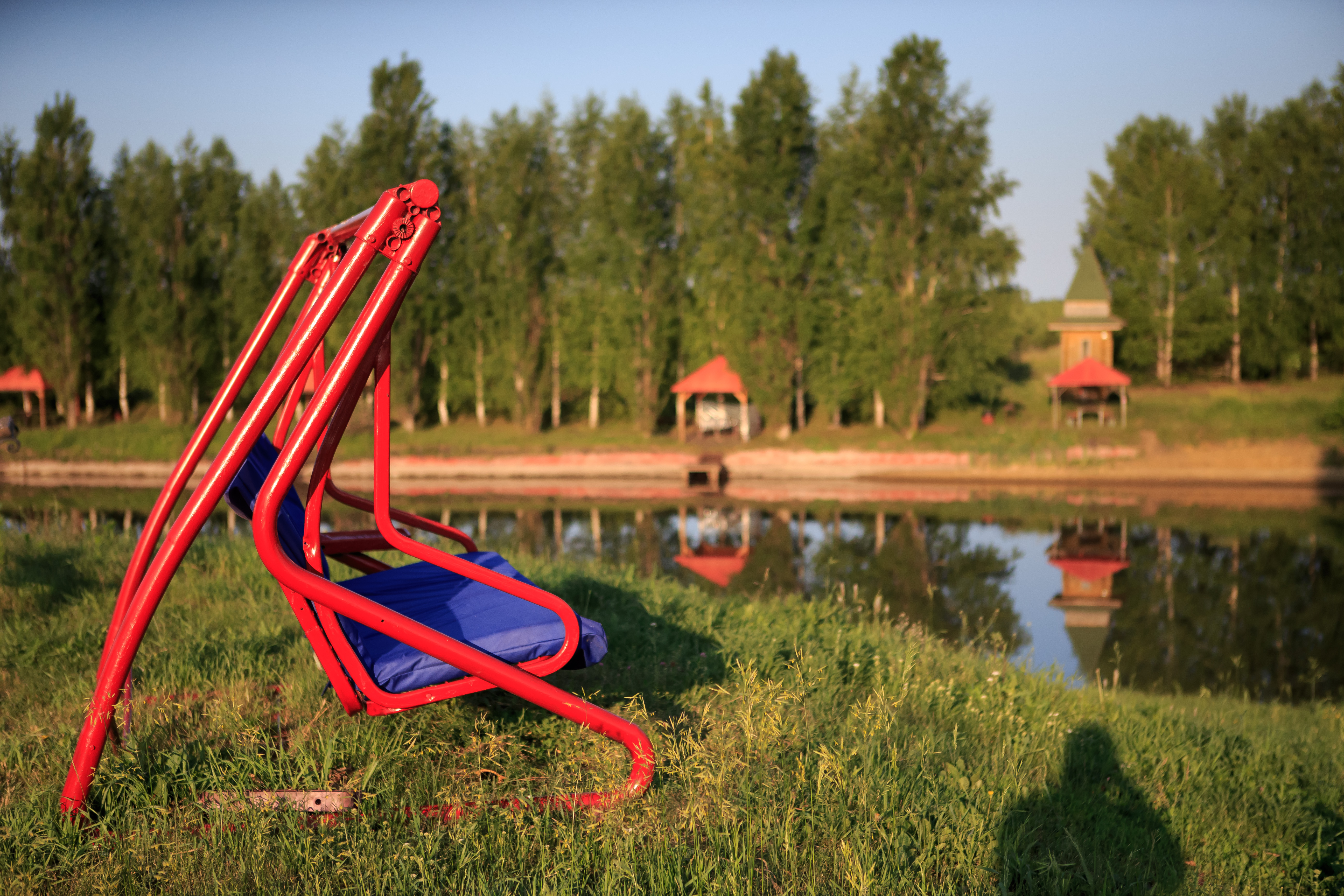 Фото Кленовая роща