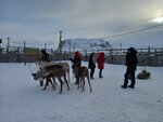 Олений Двор (zheleznodorozhnaya stantsiya Loparskaya, dachnoye nekommercheskoye tovarishchestvo Severnoye Siyaniye, 15) ، قفص حيوانات
