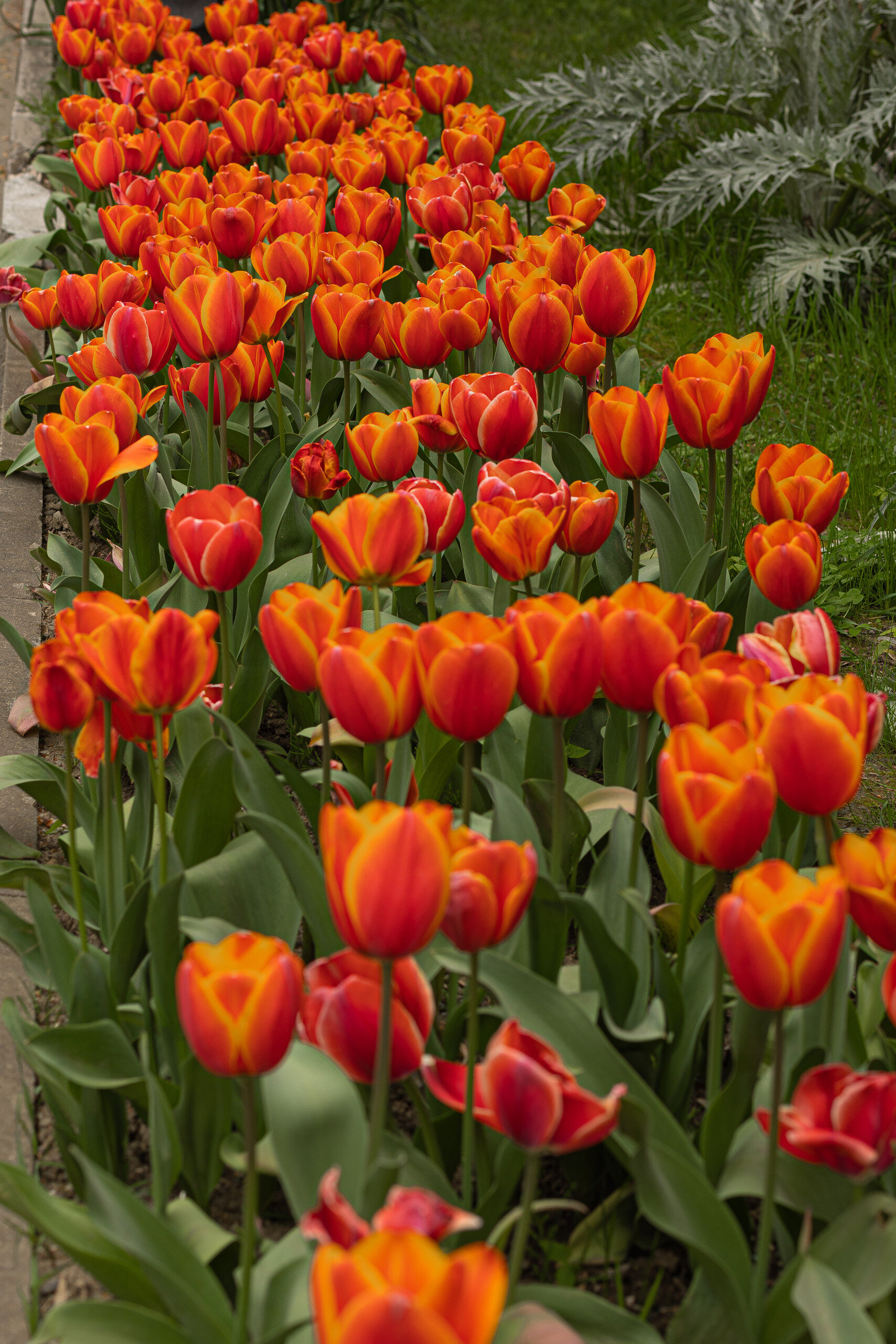 Фото Южное взморье