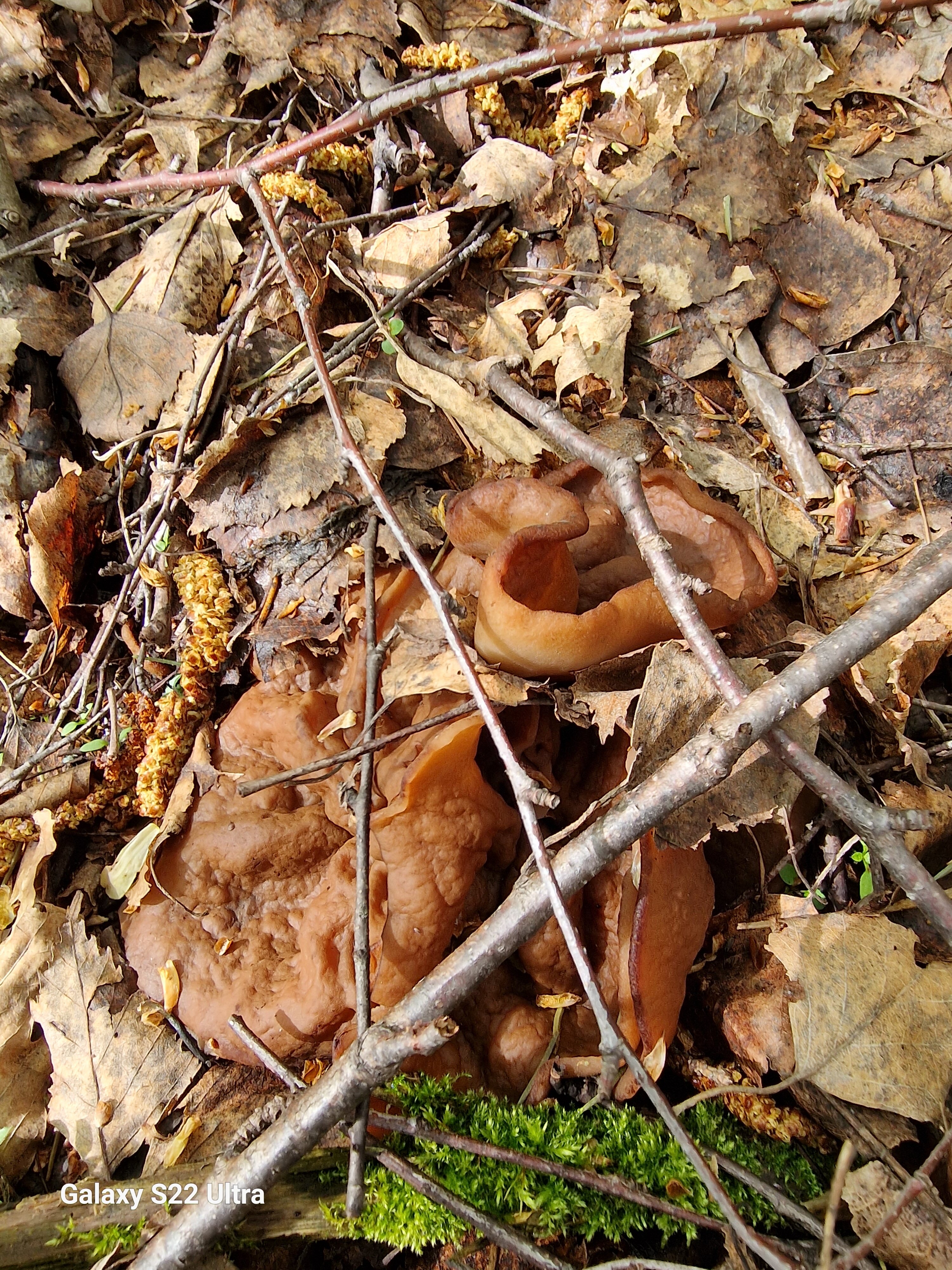 Фото Кикино на Веле