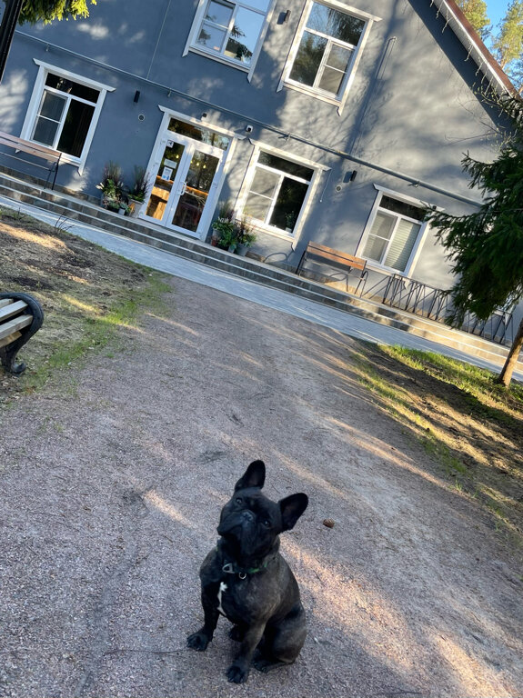 Фото Искатель