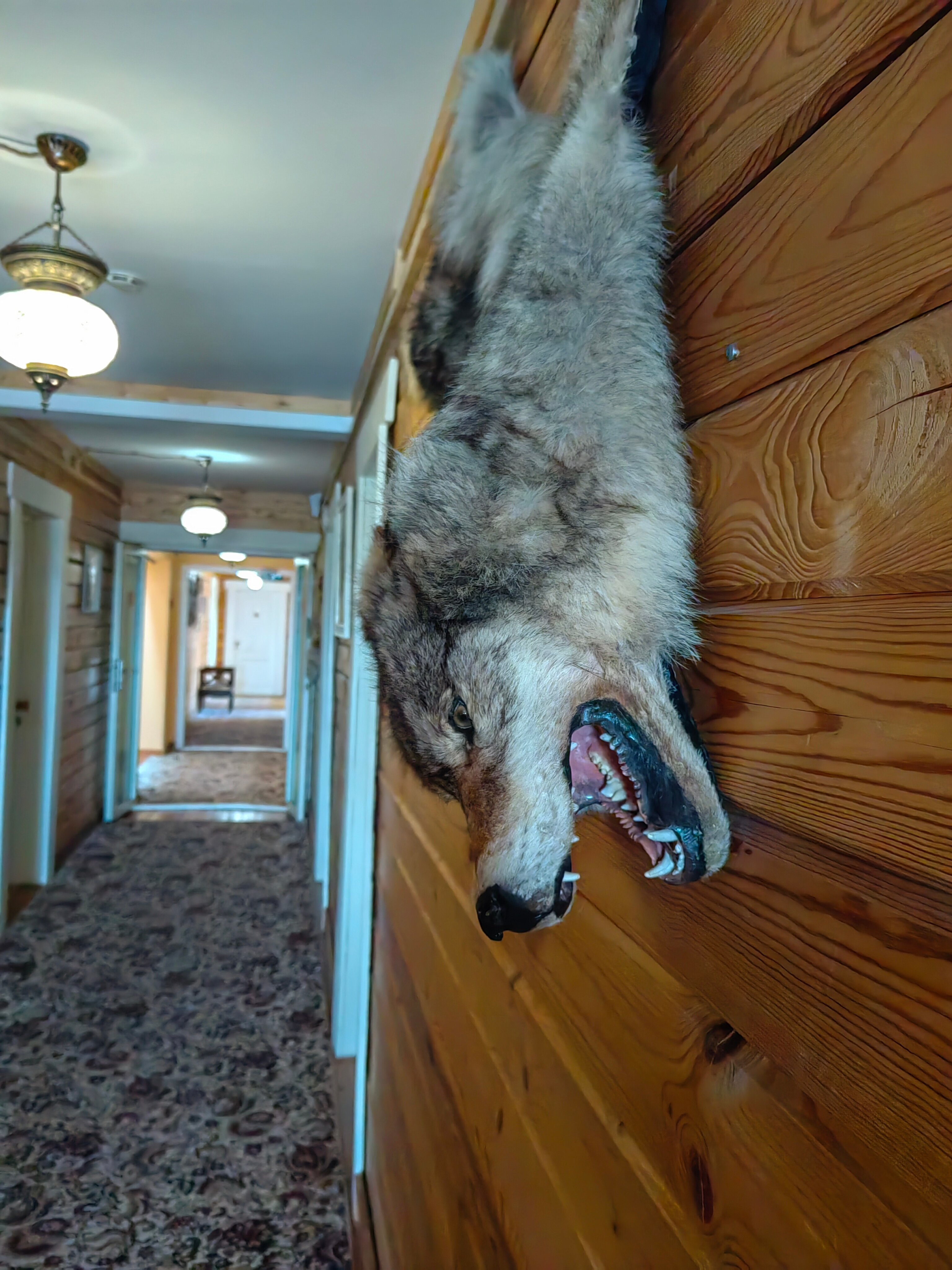 Фото Агрокультурный-туристический комплекс Богдарня