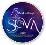 Белая Sova - центр психологической помощи и развития личности (просп. Ленина, 15), психологическое консультирование во Владимире