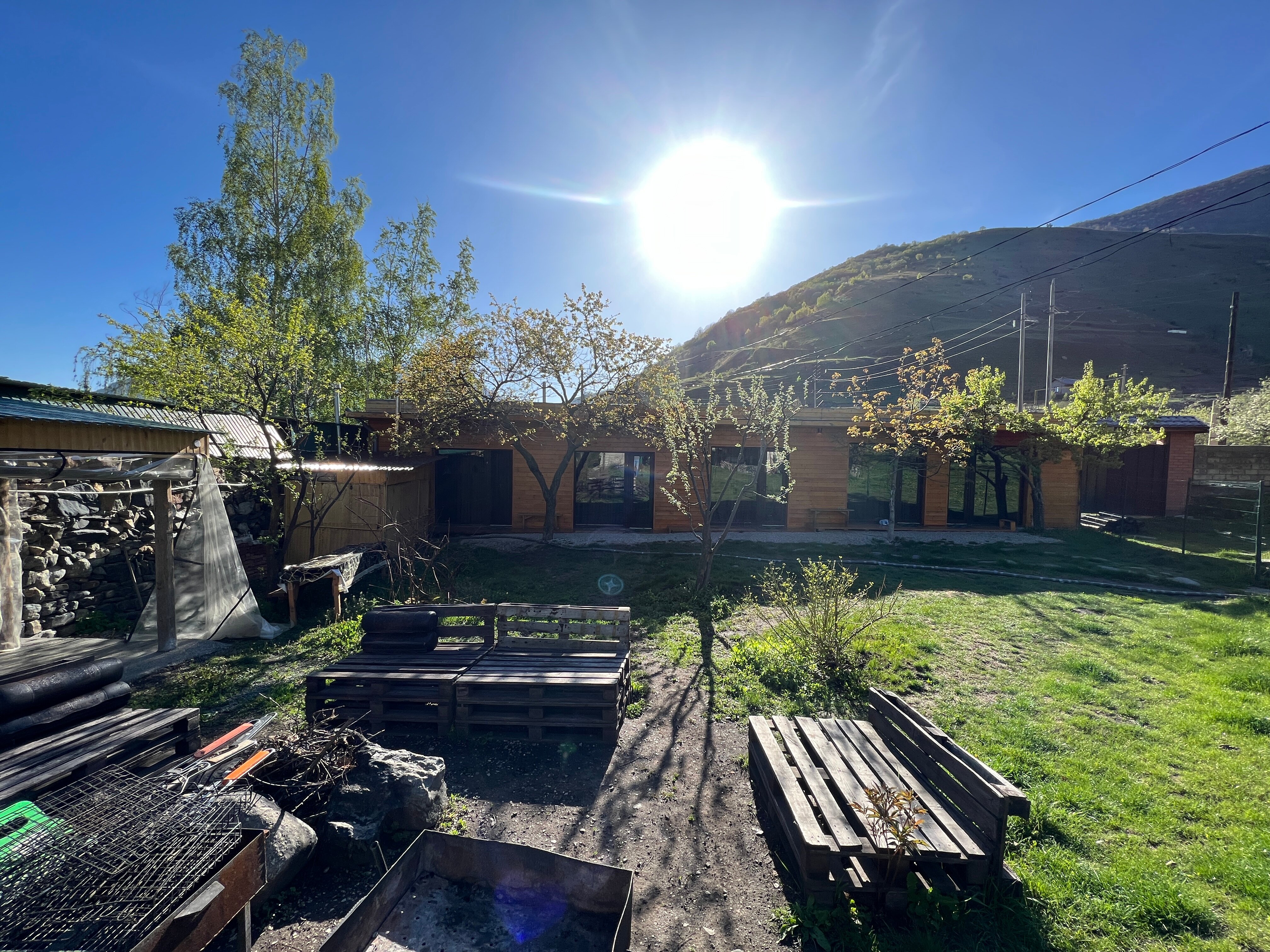 Фото Фруктовый Сад