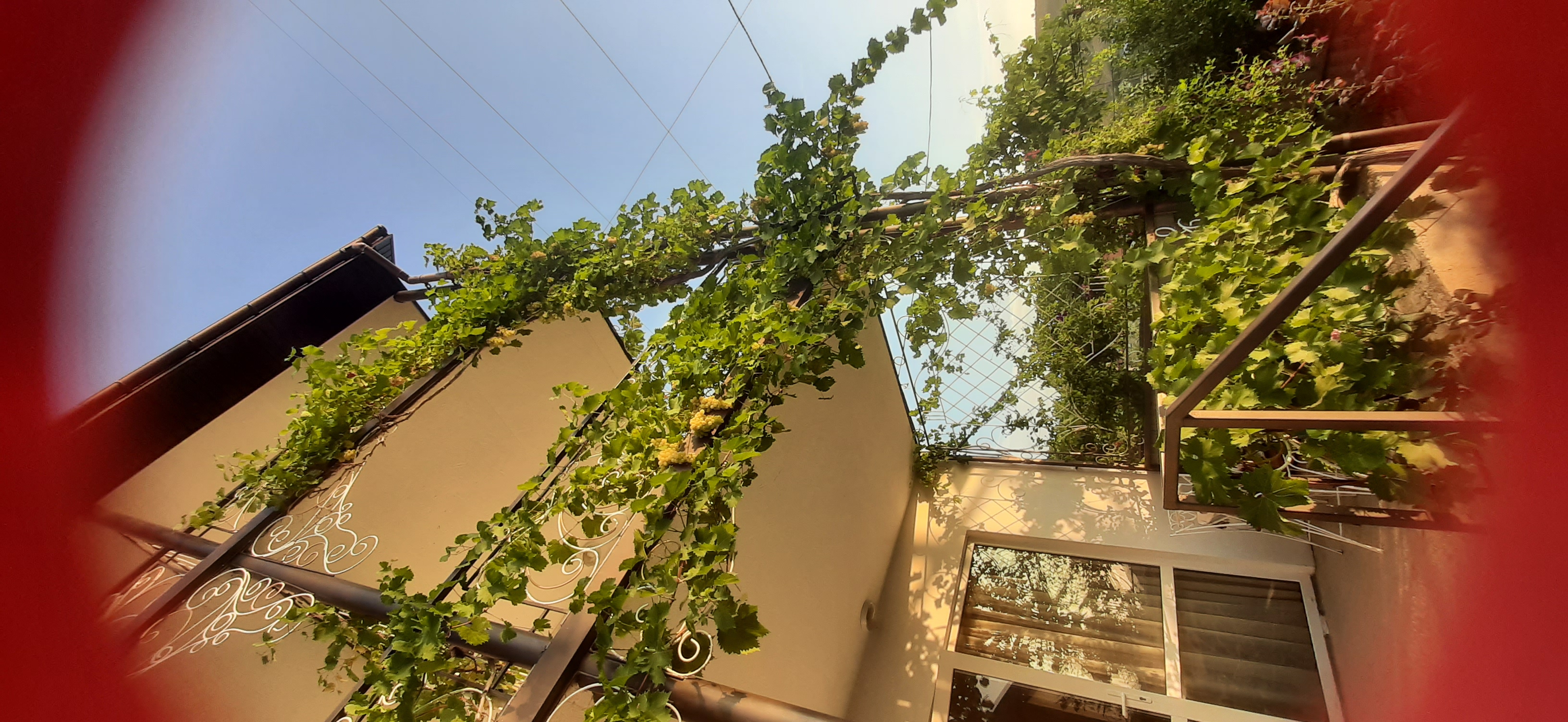 Фото Терем Ок