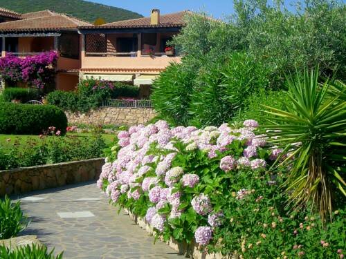 Апартаменты Fantastico Baia de Bahas Residence Studio 2 Persons Mono 2