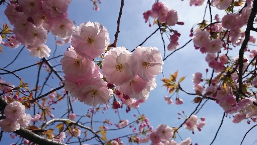 Фото Hotel Route Inn Niigata Kenchominami