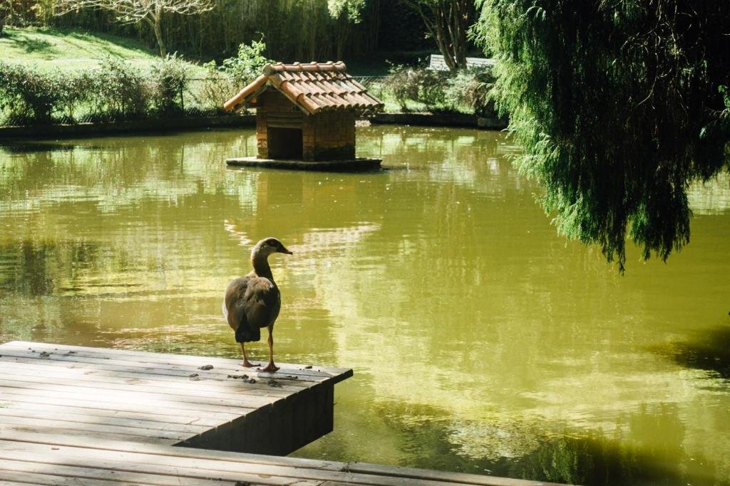 Фото Pousada Tucano Do Cuiabá