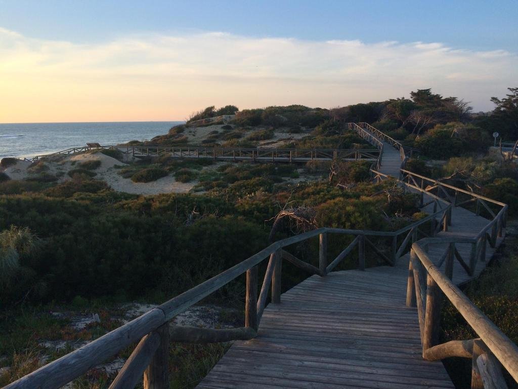 Фото Playa De La Luz Hotel