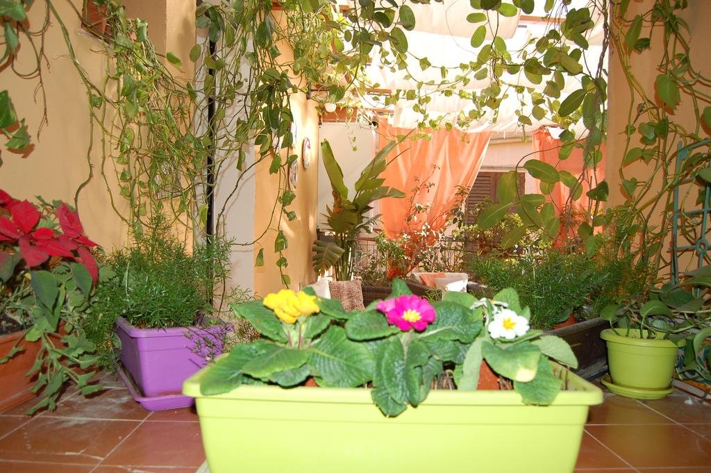 Фото Al Vicoletto