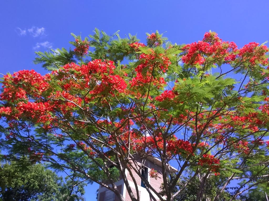 Фото Hotel Kleinsberg