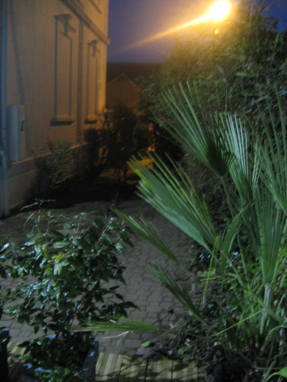 Фото L'étoile filante