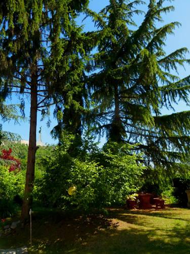 Фото Citadella Guesthouse