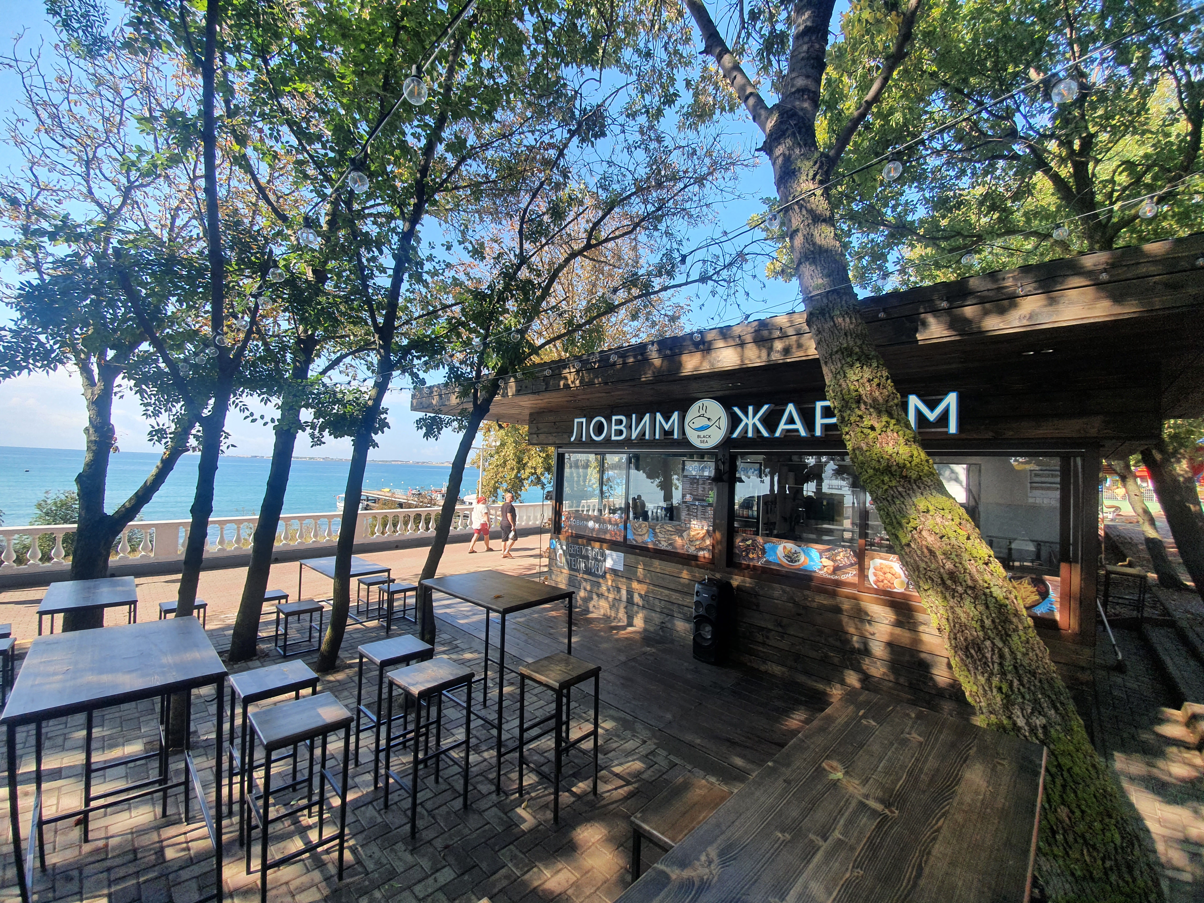 Photo: Primore Grand Resort Hotel, hotel, Gelendzhik, Mira Street, 23 - Yandex M